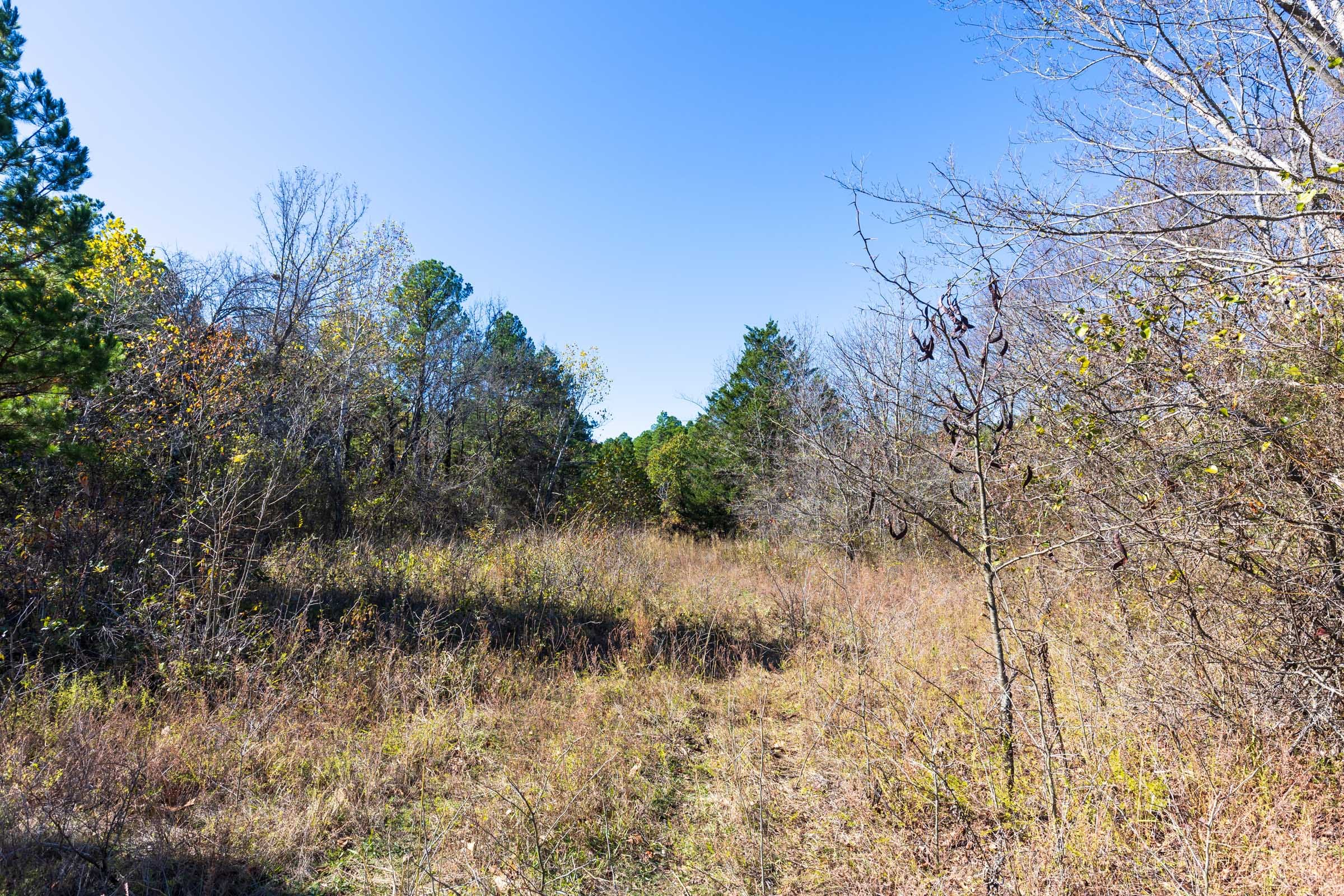 Stone Bridge Reserve Tract 19 photo 12