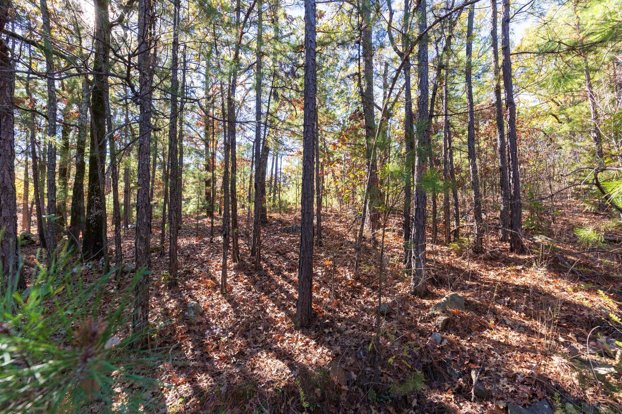 Stone Bridge Reserve Tract 19 photo 11