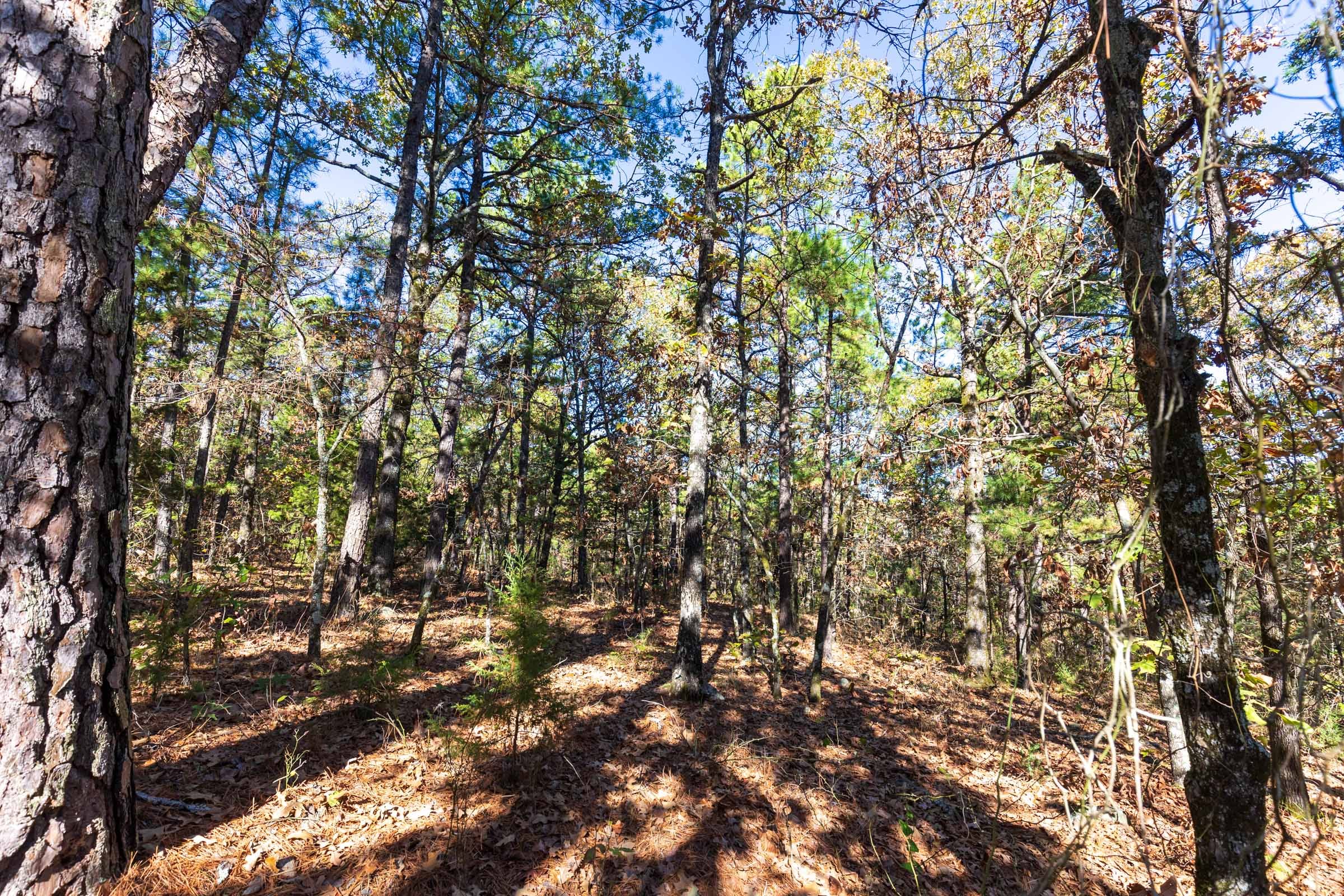 Stone Bridge Reserve Tract 19 photo 10