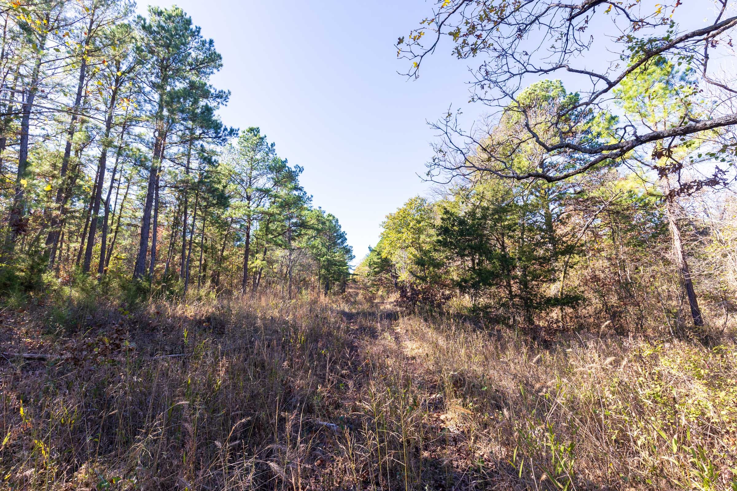 Stone Bridge Reserve Tract 19 photo 9