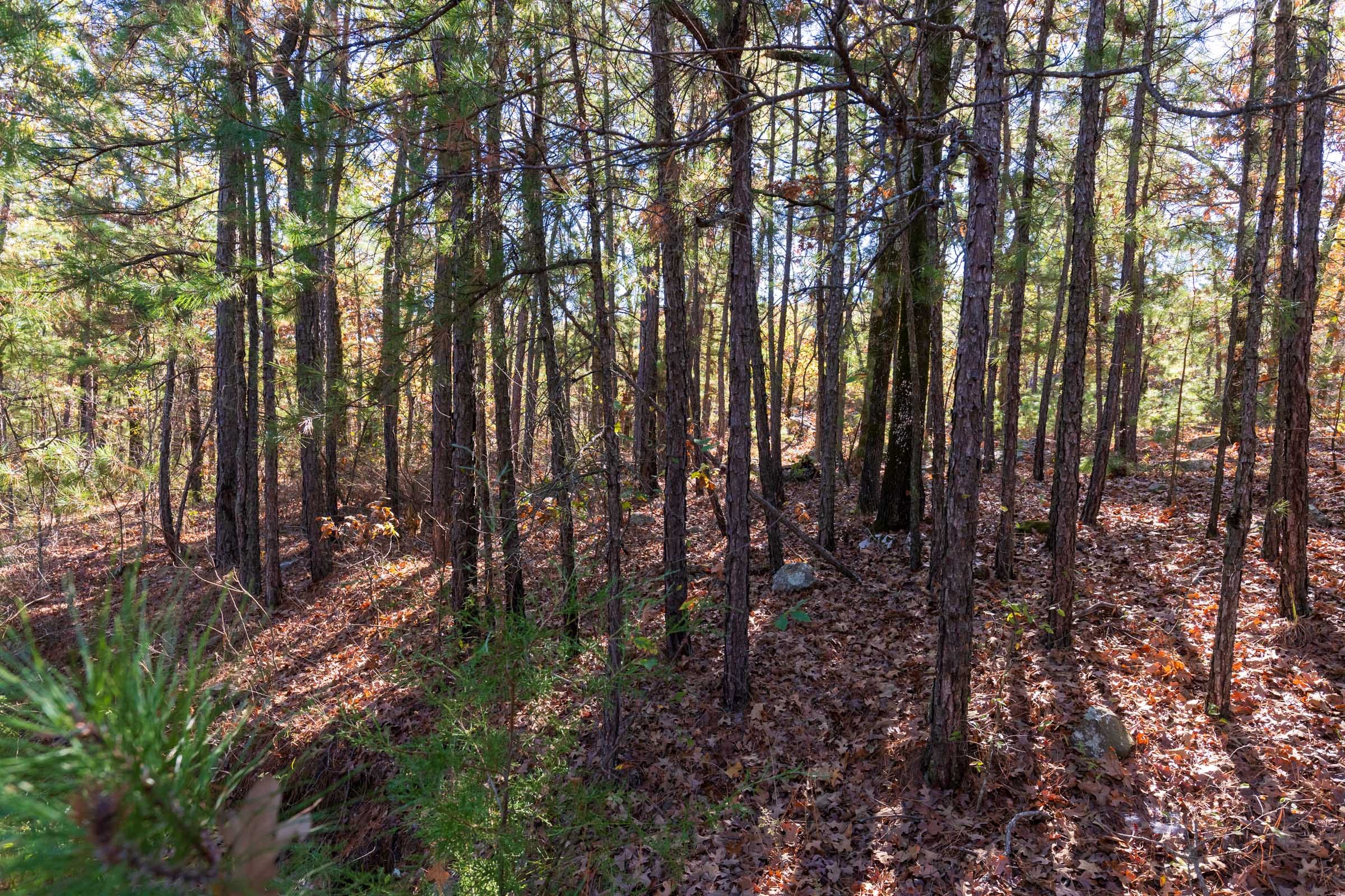 Stone Bridge Reserve Tract 19 photo 8