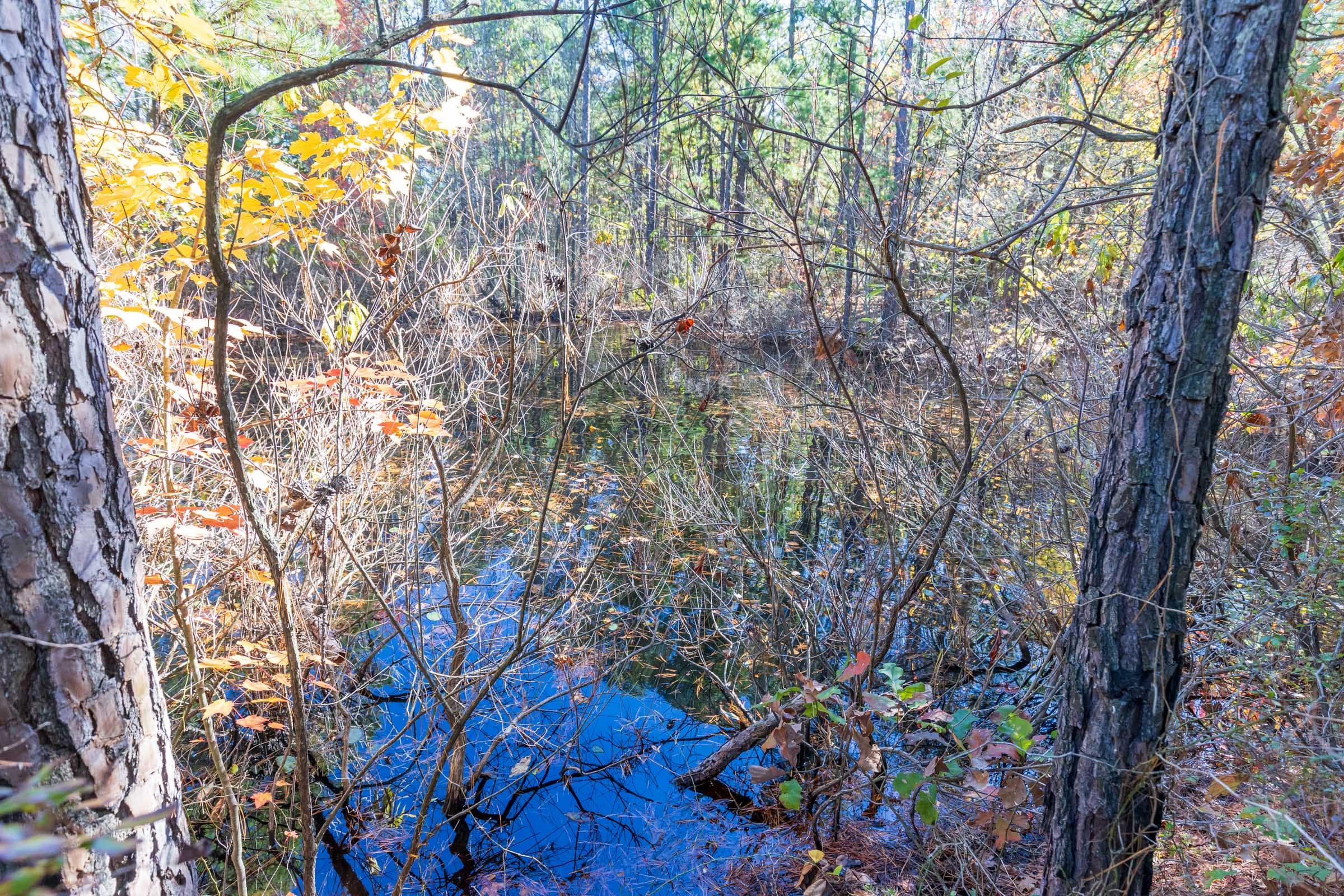 Stone Bridge Reserve Tract 19 photo 7