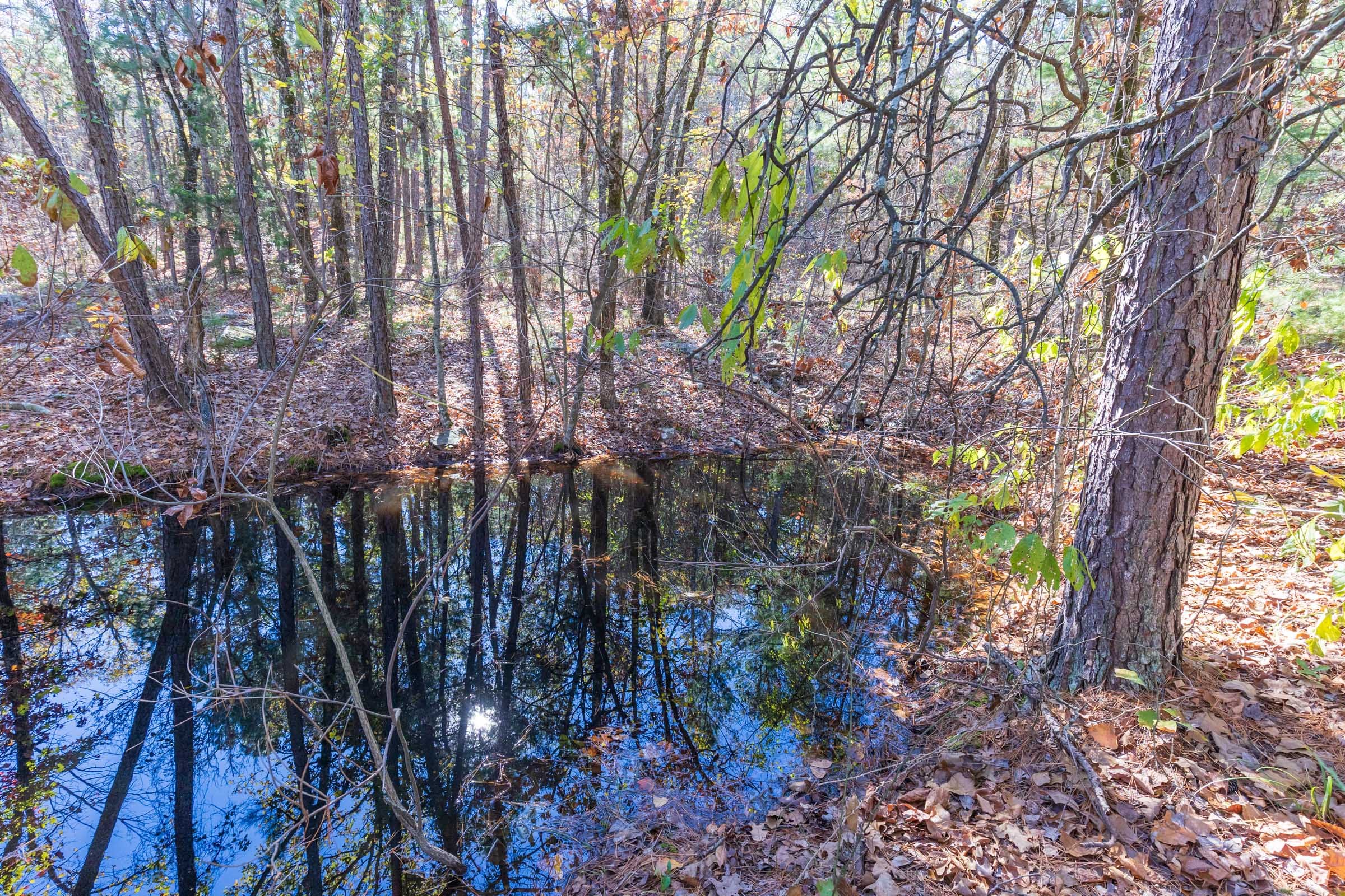 Stone Bridge Reserve Tract 19 photo 6