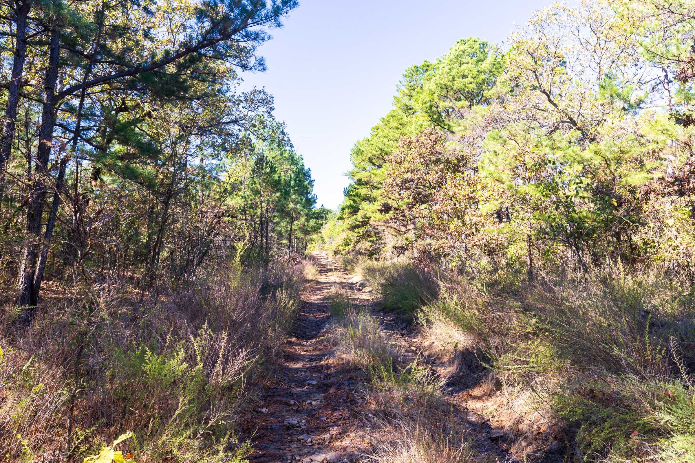 Stone Bridge Reserve Tract 19 photo 5
