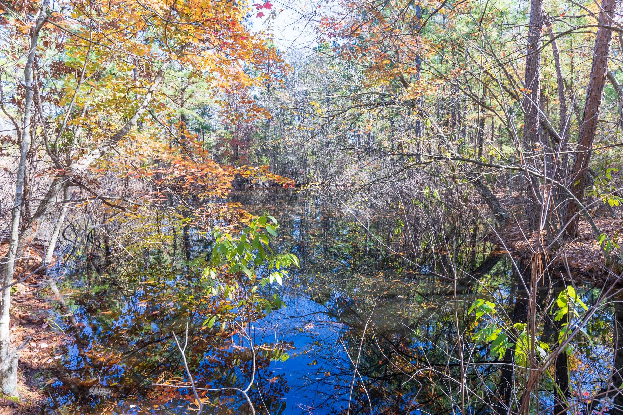 Stone Bridge Reserve Tract 19 photo 4