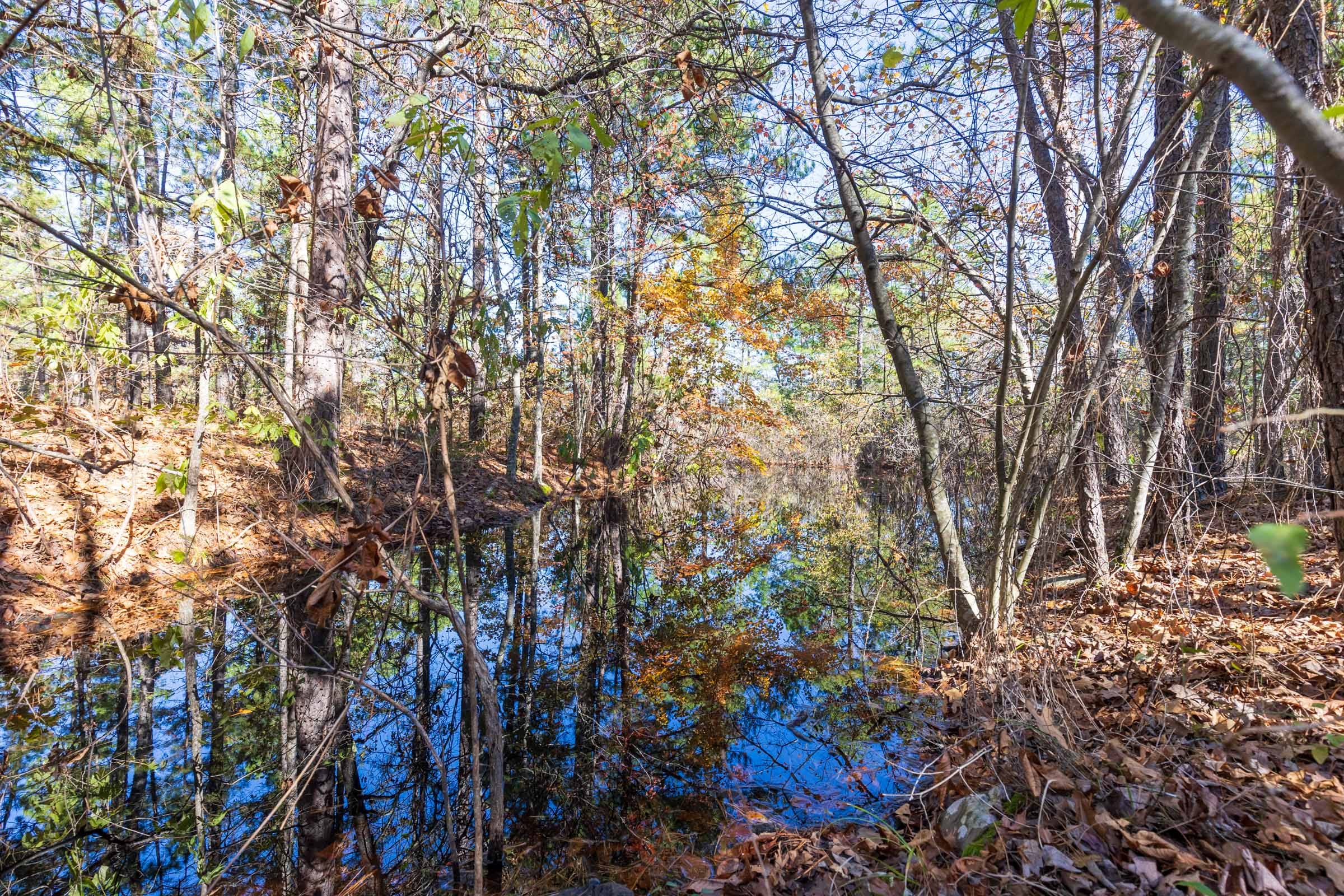 Stone Bridge Reserve Tract 19 photo 3