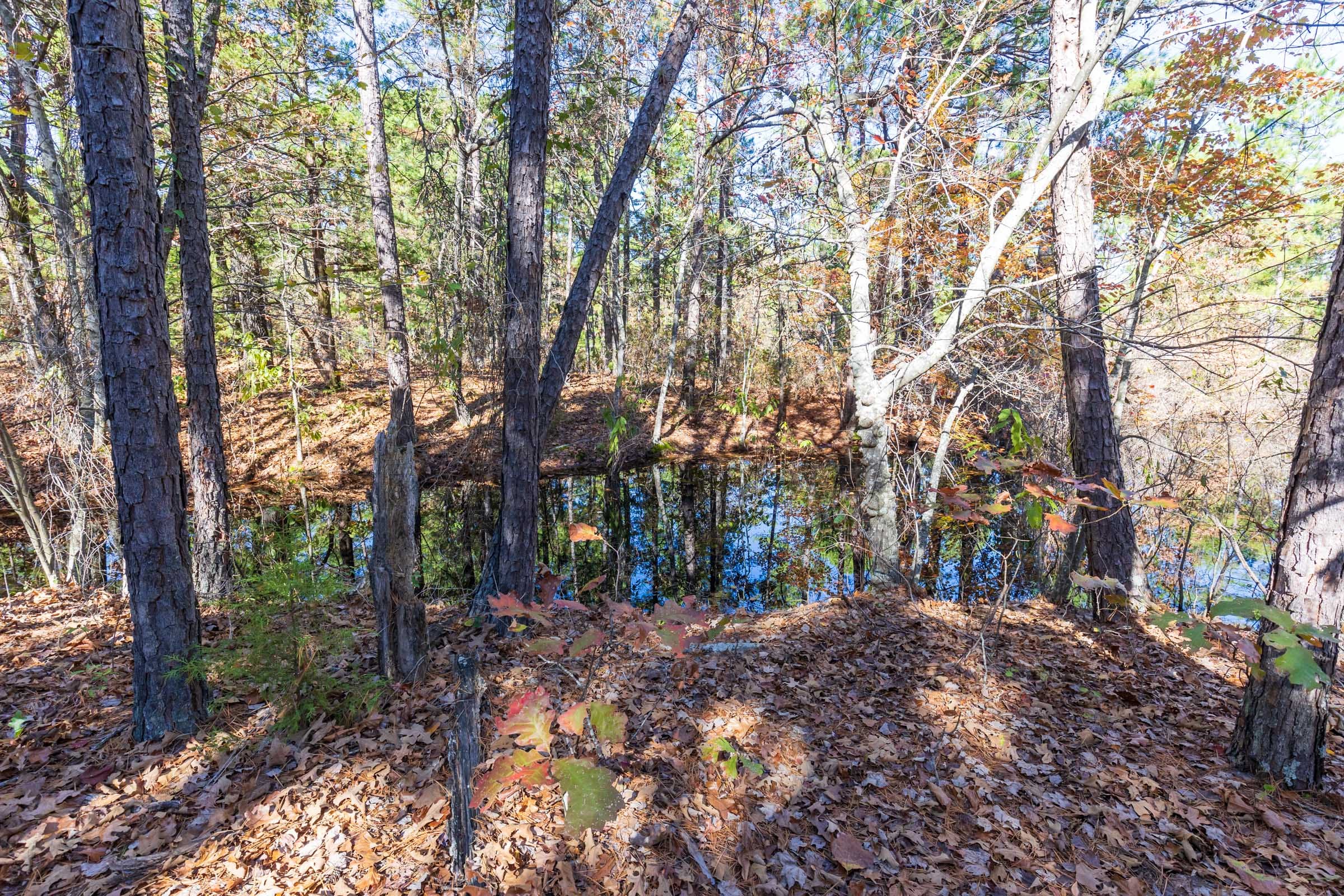 Stone Bridge Reserve Tract 19 photo 2