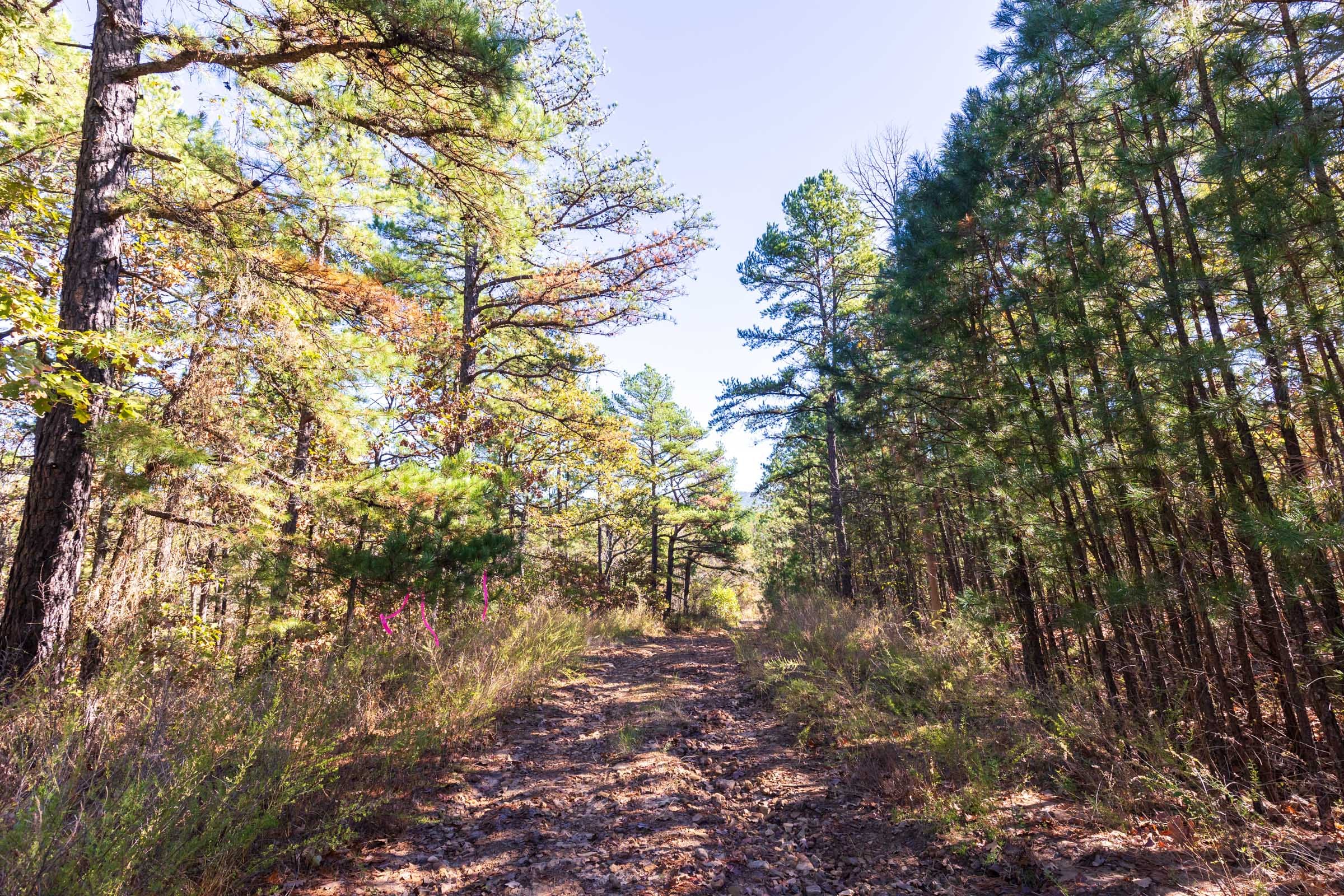 Stone Bridge Reserve Tract 19 photo 1