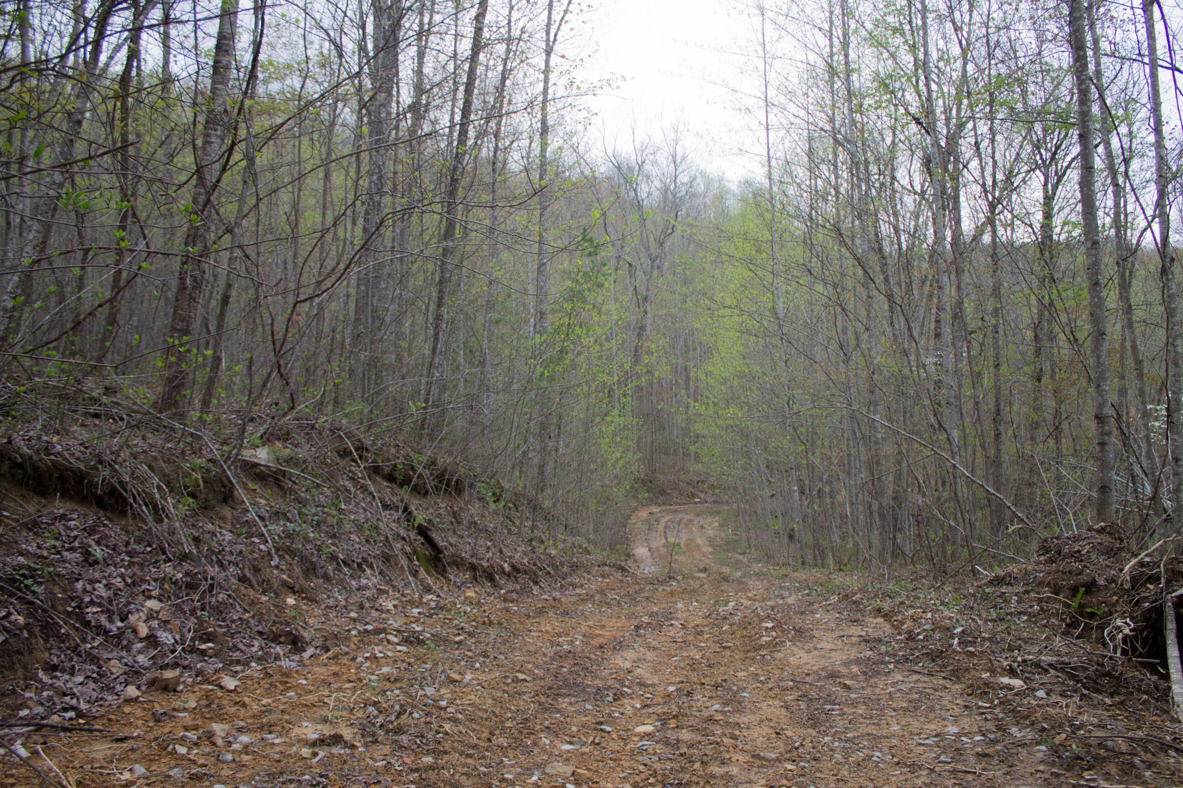 Hidden Hills Tract 47 photo 1