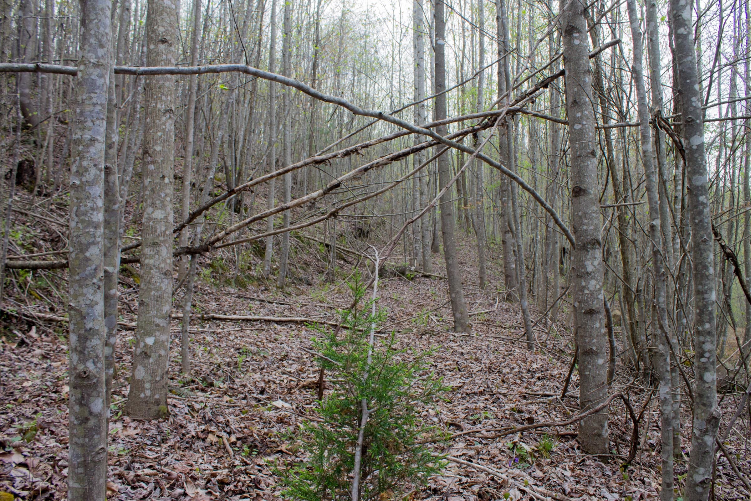 Hidden Hills Tract 47 photo 2