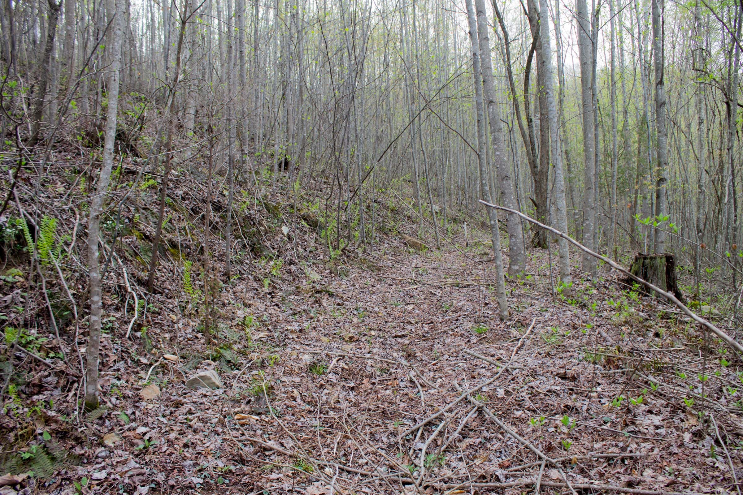 Hidden Hills Tract 47 photo 3