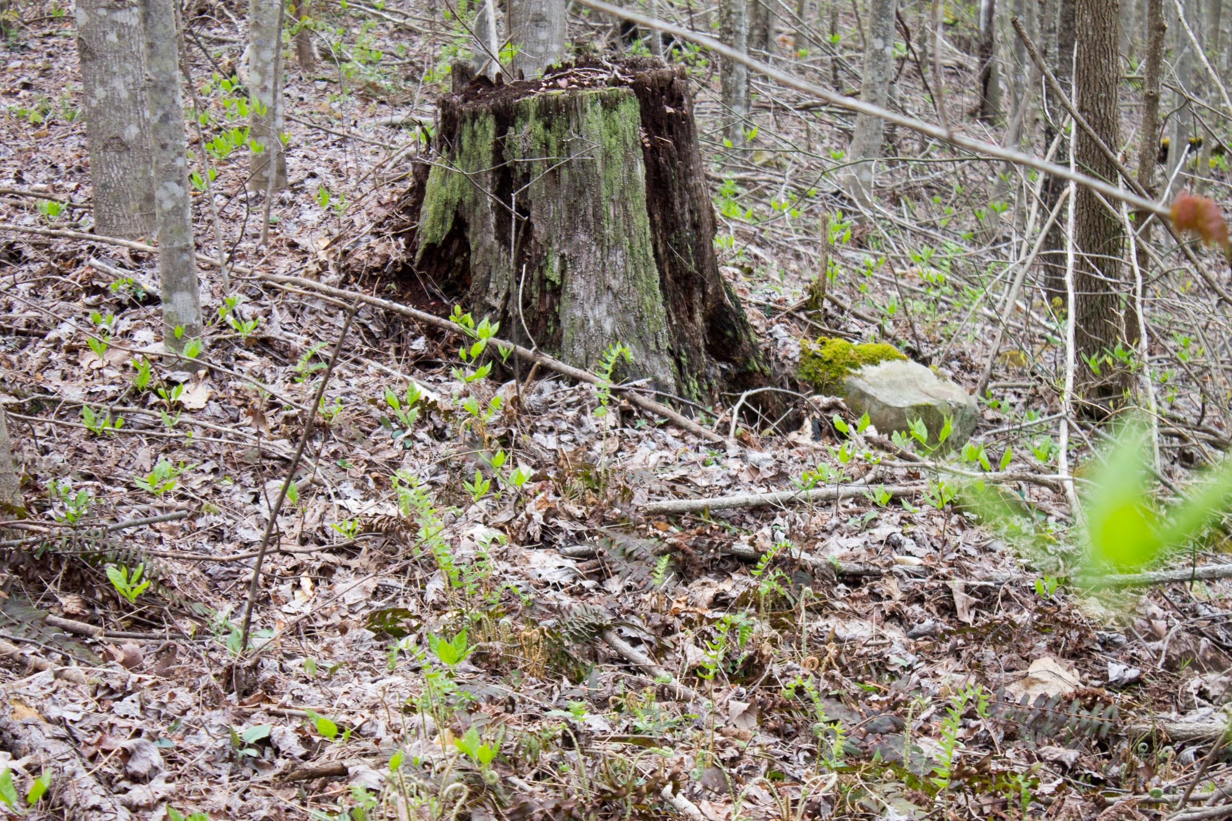 Hidden Hills Tract 47 photo 4