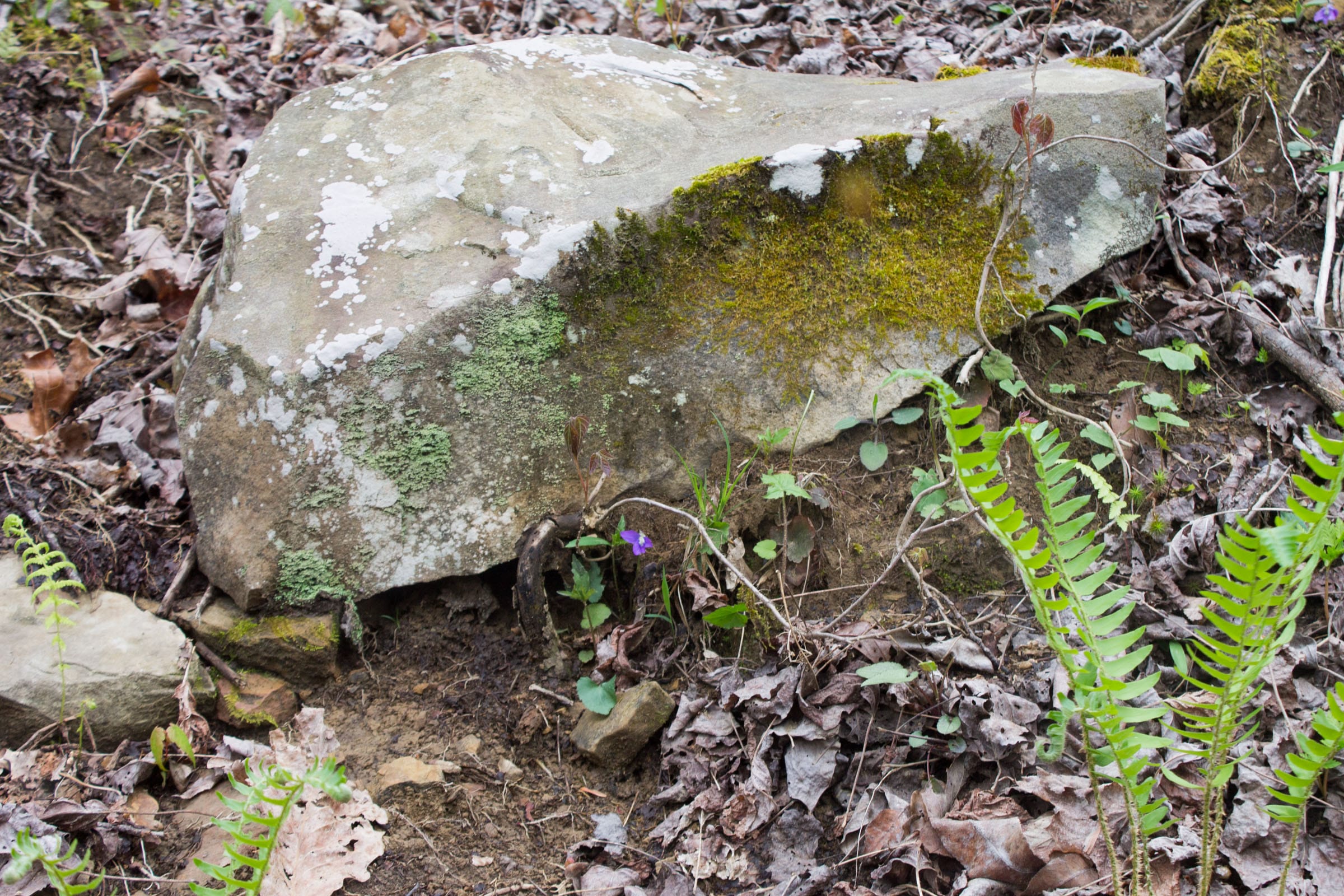 Hidden Hills Tract 47 photo 5