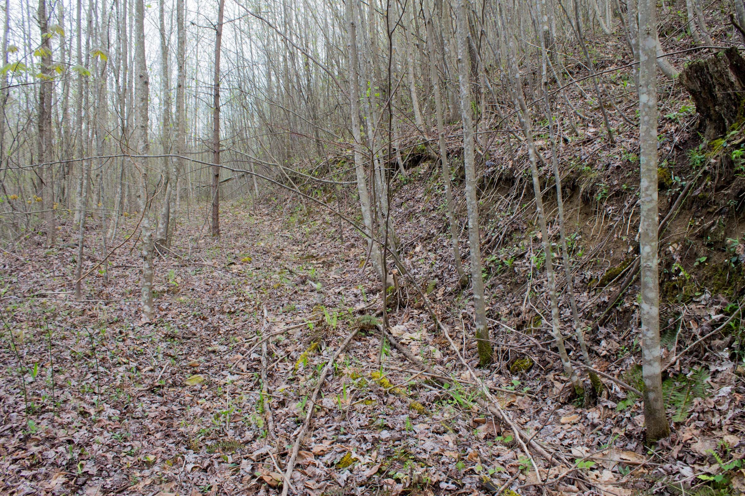 Hidden Hills Tract 47 photo 6