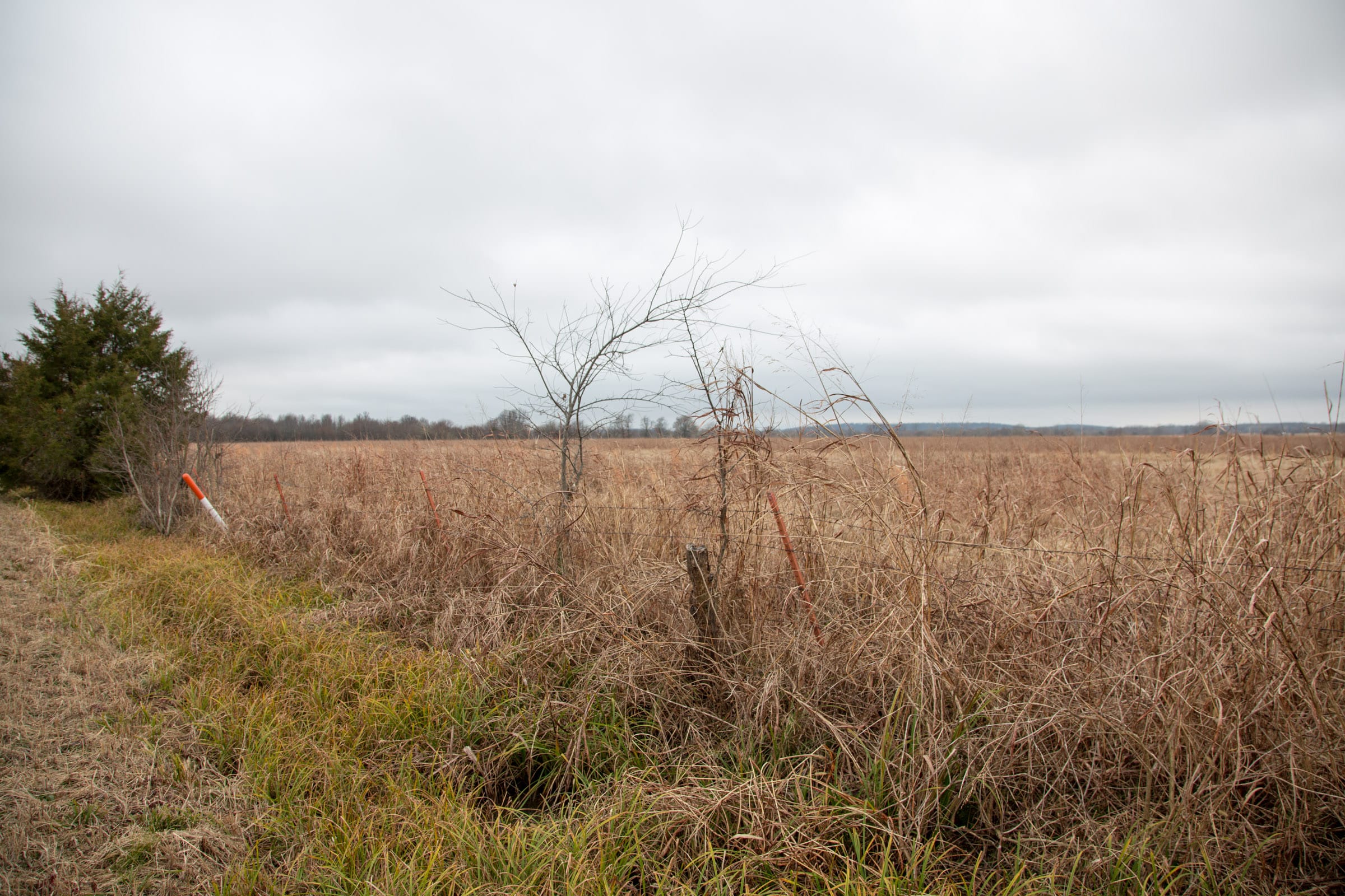 Canadian Plains Tract 13 photo 5