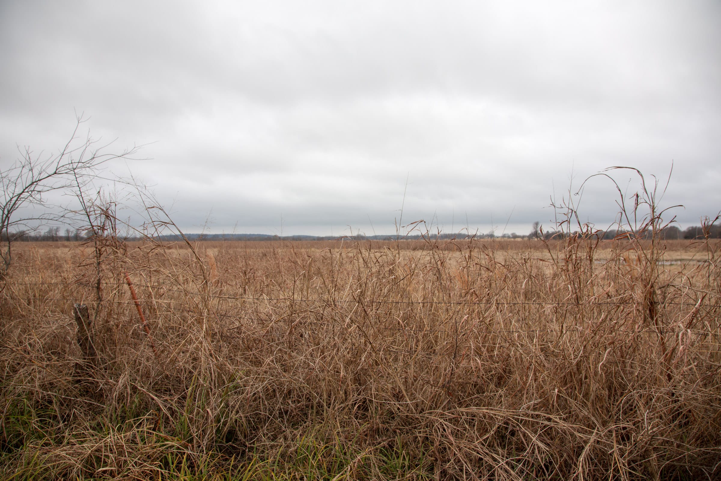 Canadian Plains Tract 13 photo 6