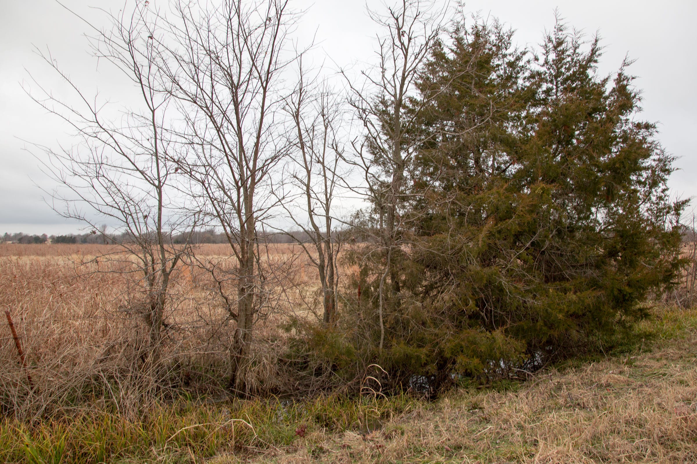 Canadian Plains Tract 13 photo 8