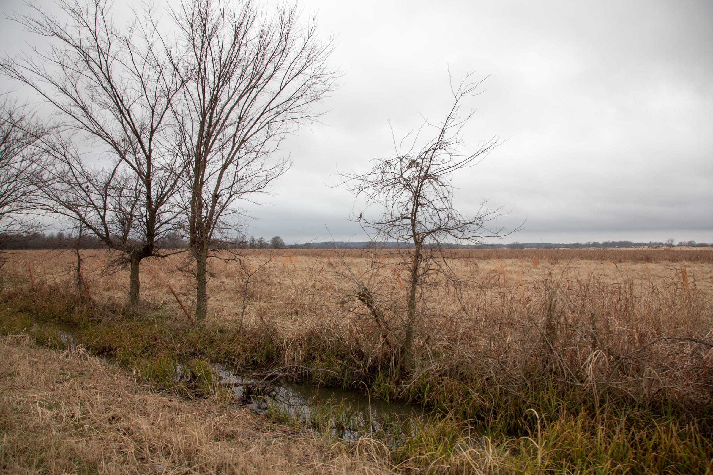 Canadian Plains Tract 13 photo 9