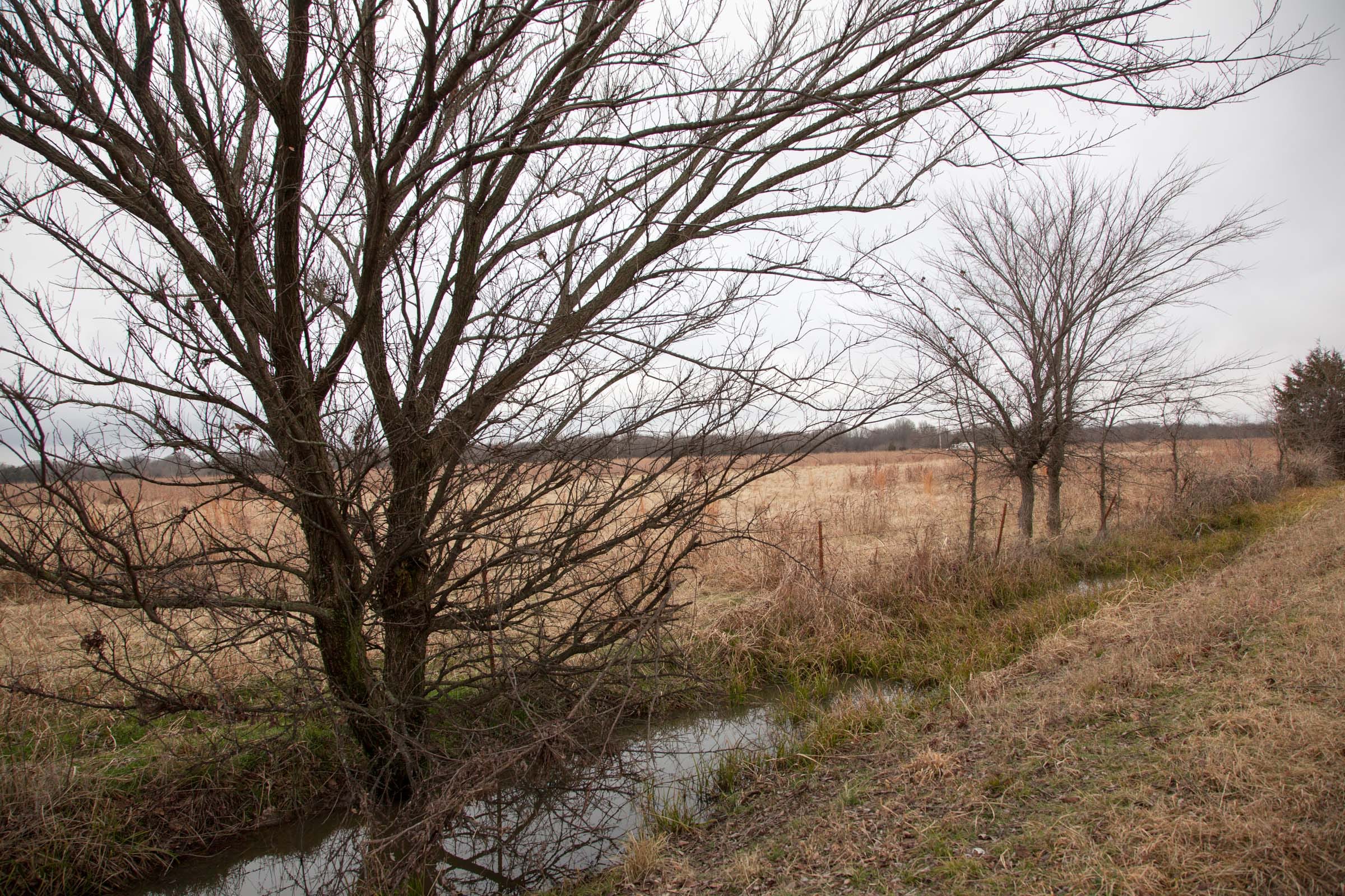 Canadian Plains Tract 13 photo 10