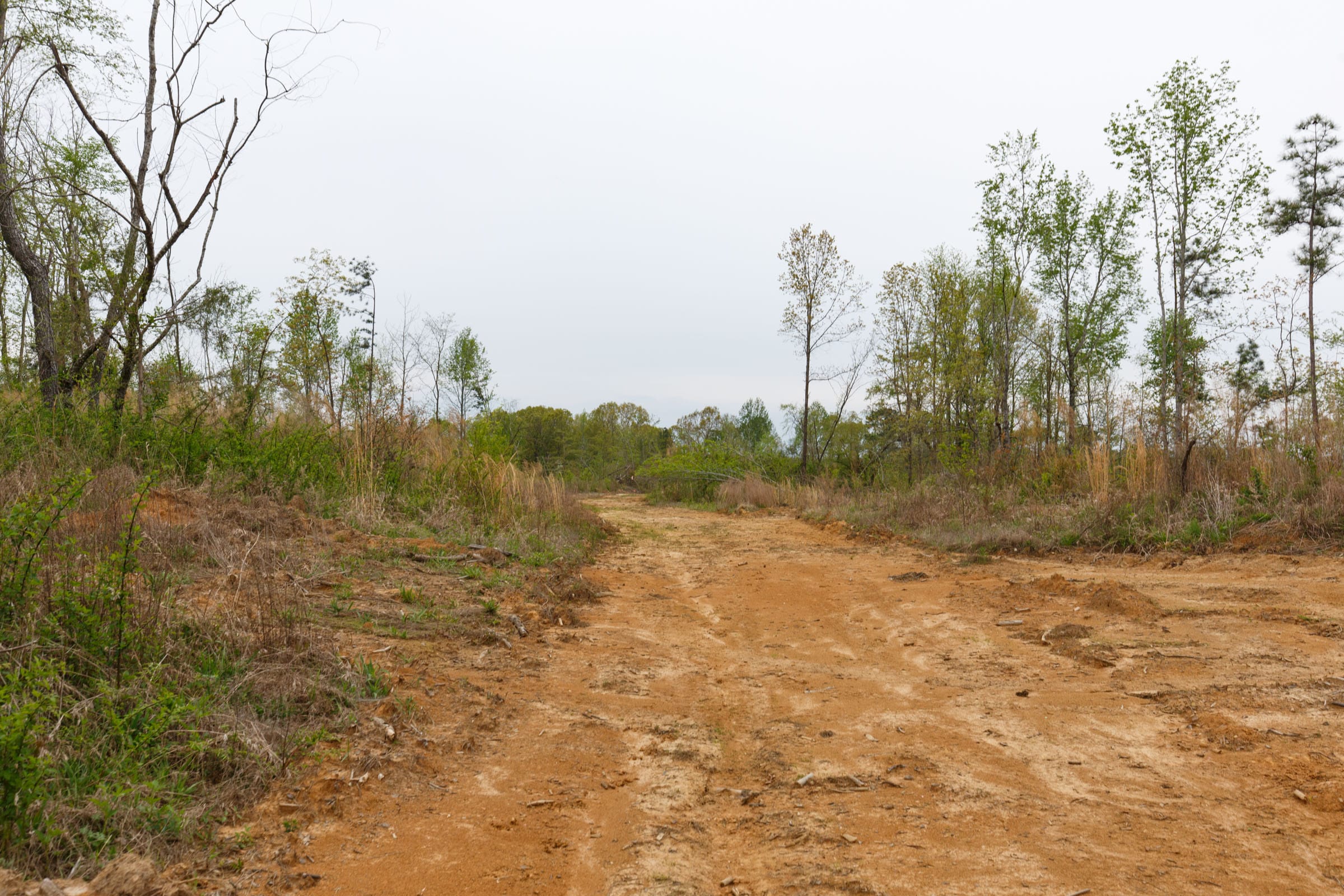 Twin Rivers Tract 23 photo 2