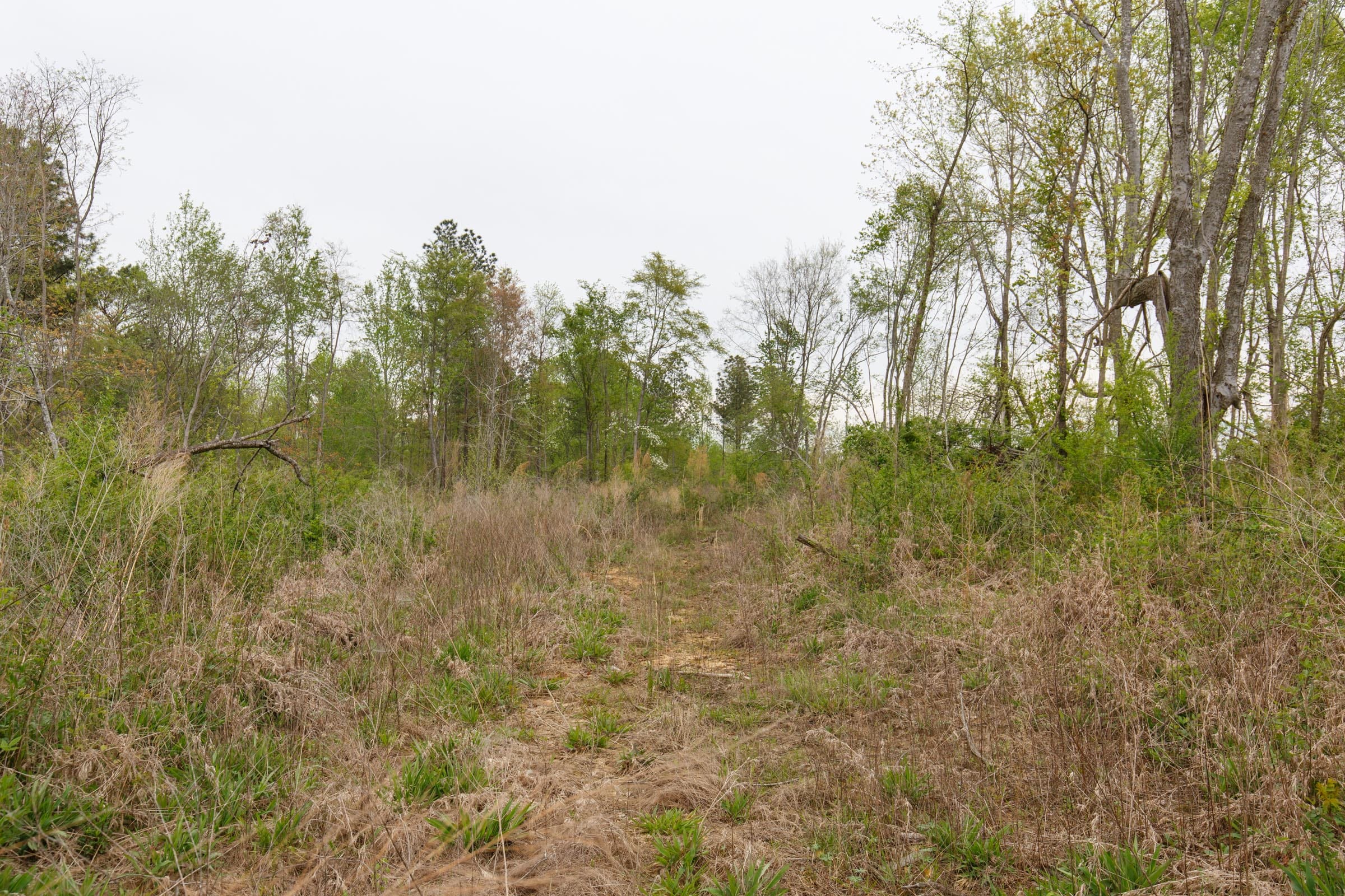 Twin Rivers Tract 23 photo 3