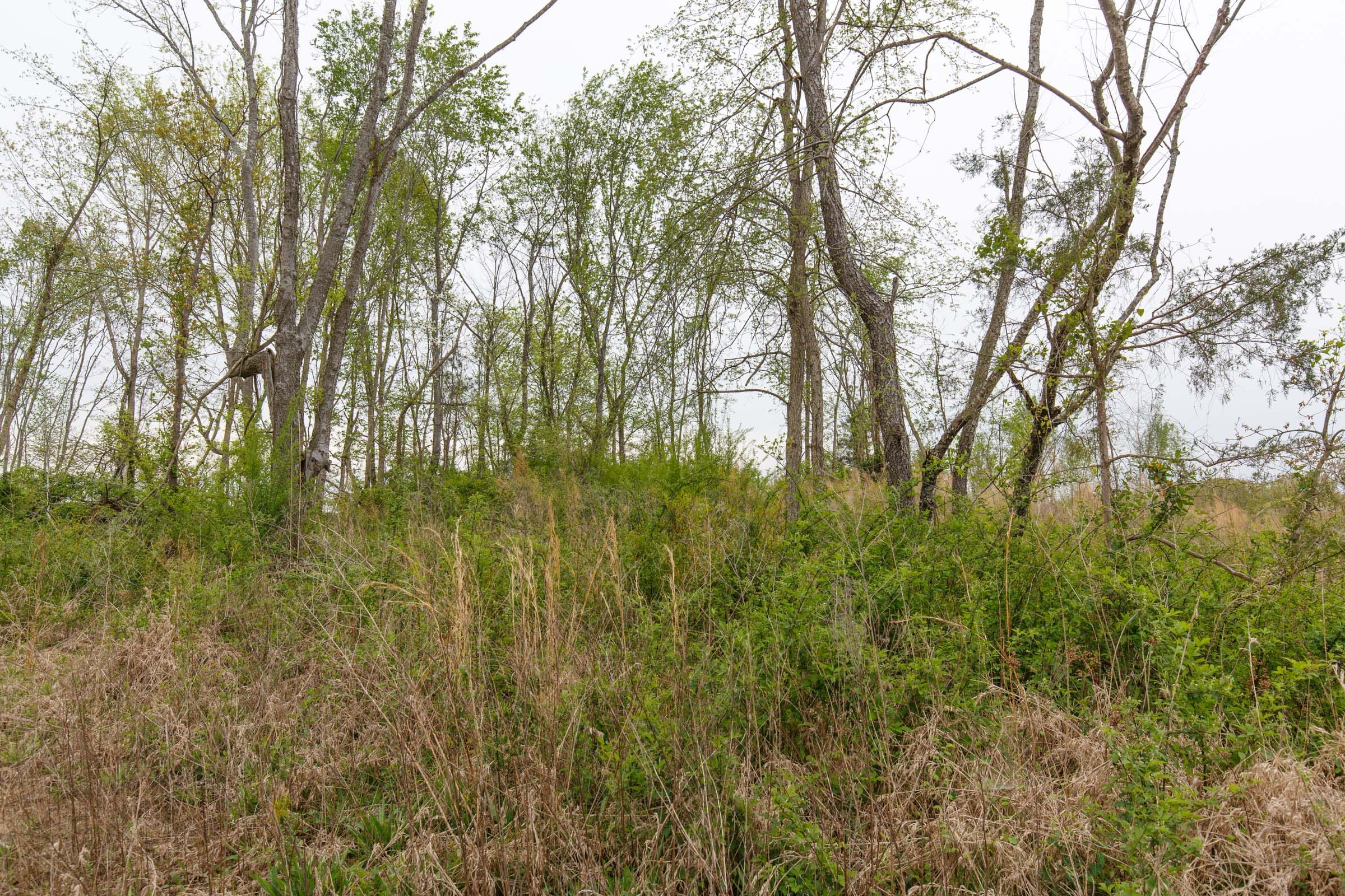 Twin Rivers Tract 23 photo 1