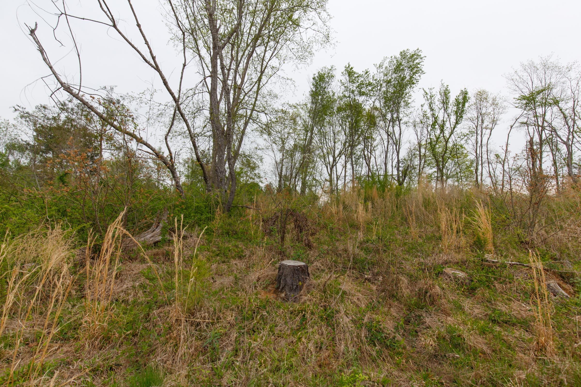 Twin Rivers Tract 23 photo 5