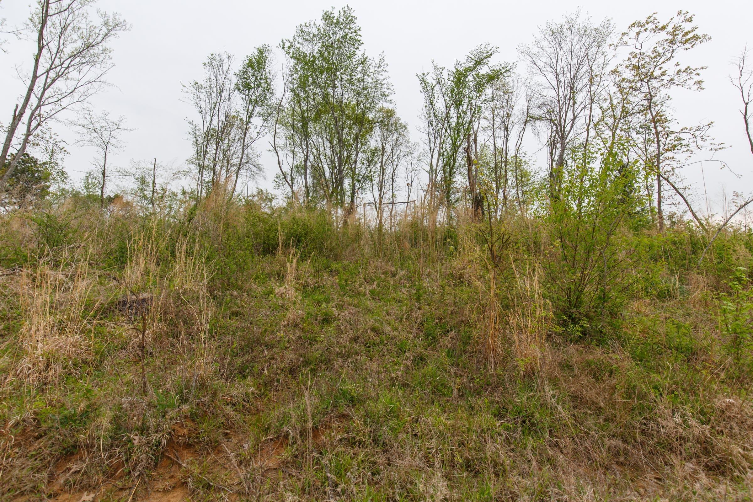 Twin Rivers Tract 23 photo 6