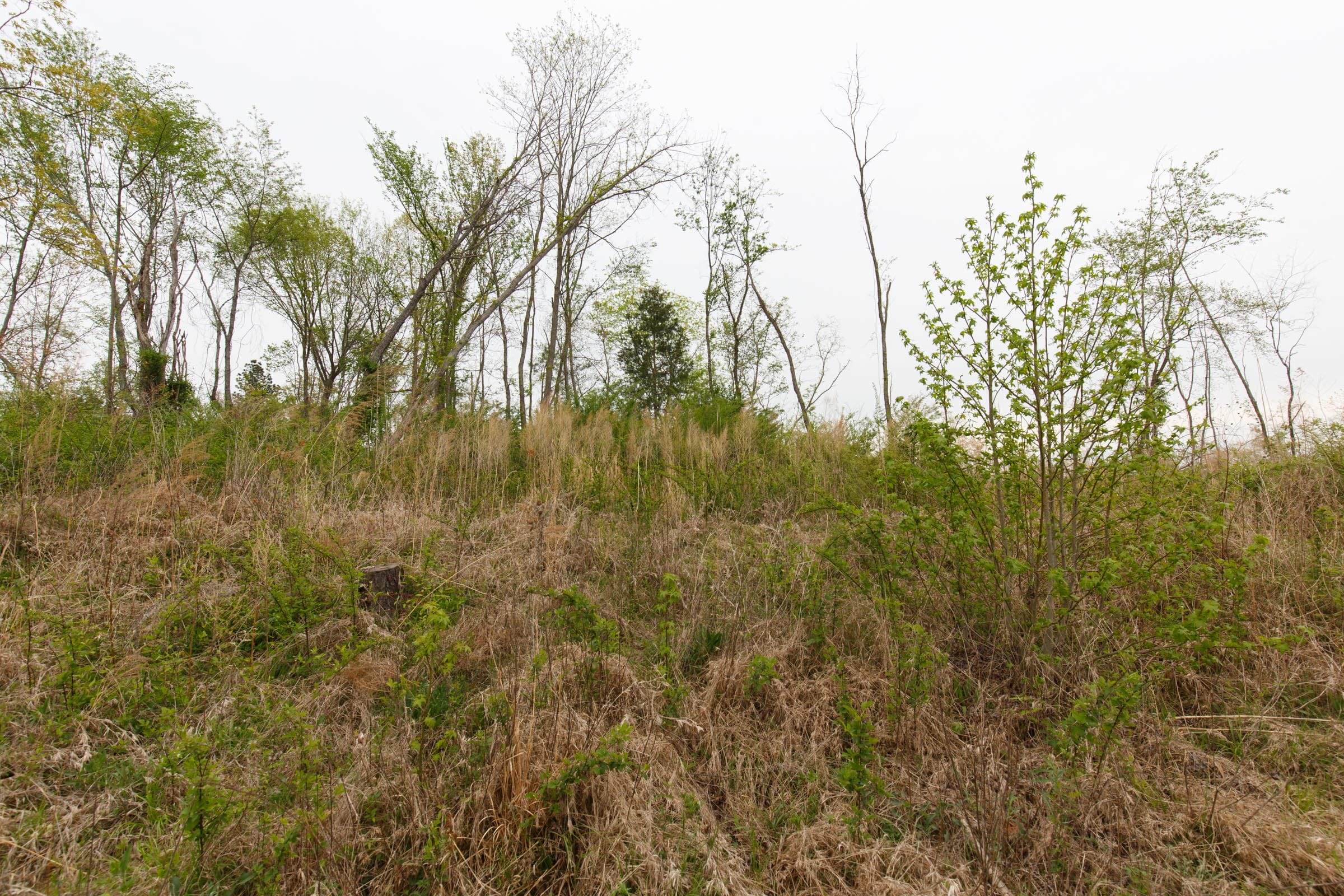 Twin Rivers Tract 23 photo 9