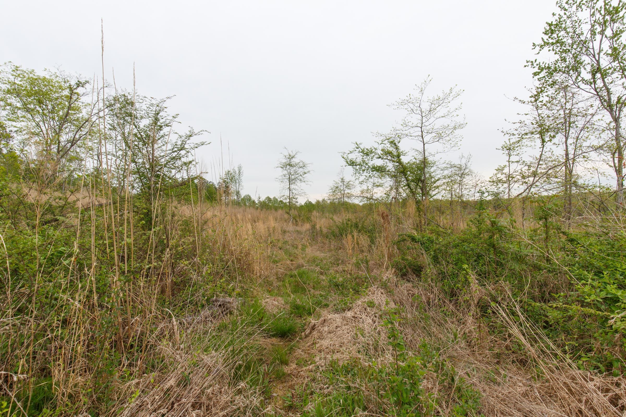 Twin Rivers Tract 23 photo 8