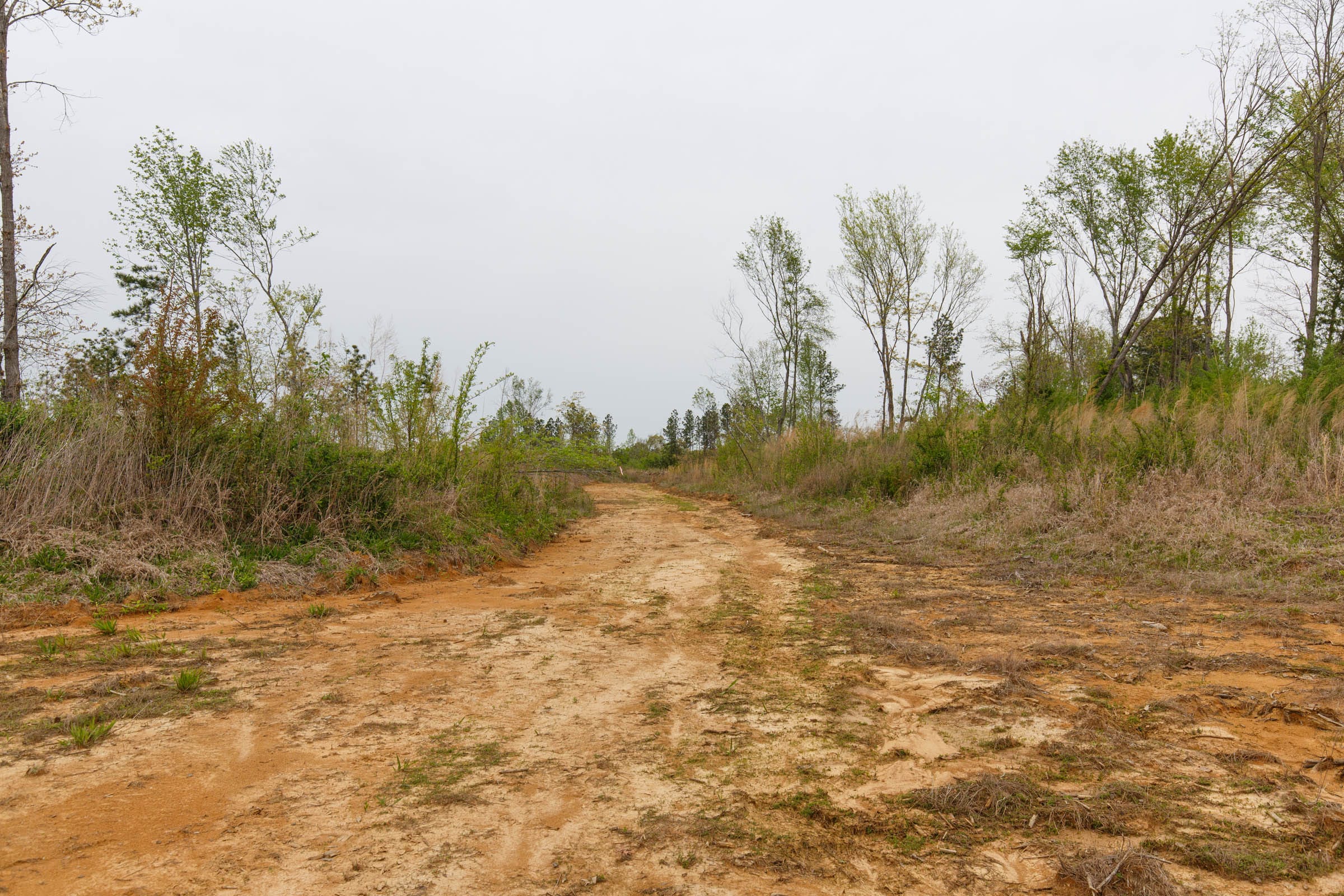 Twin Rivers Tract 23 photo 7