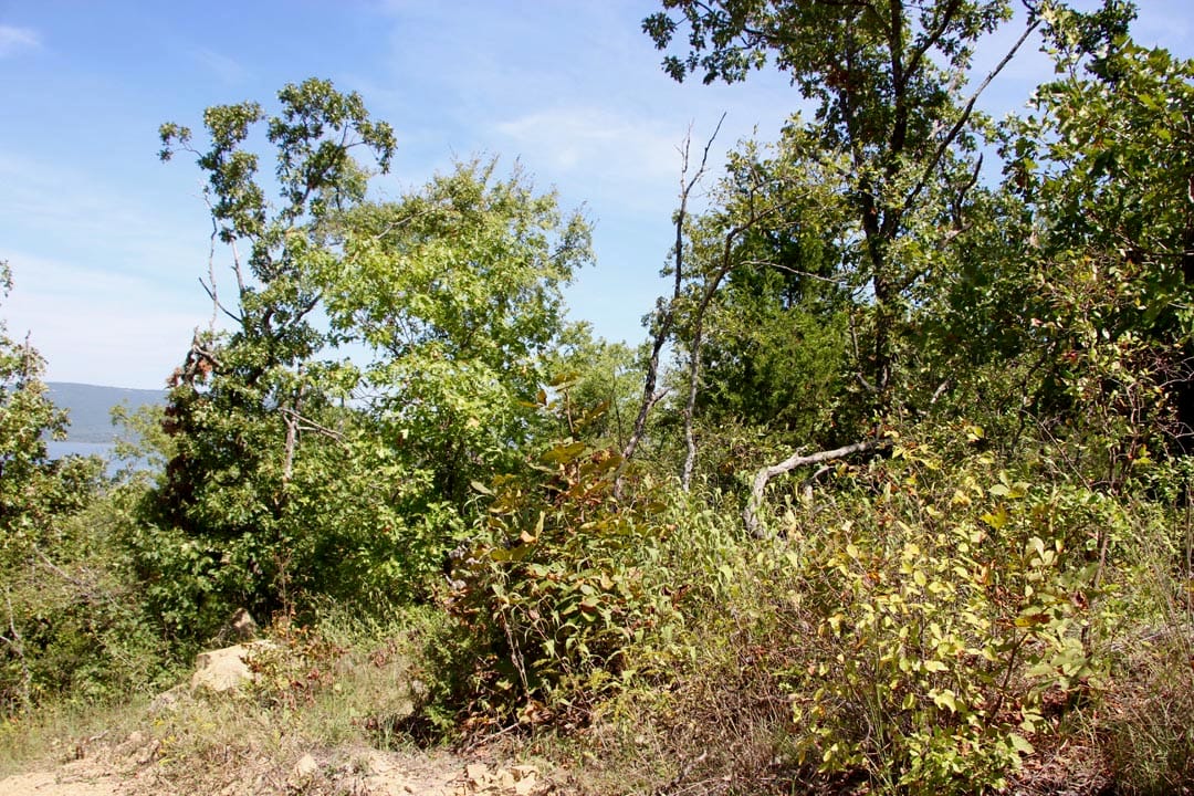 Lakeview Private Reserve Tract 13 photo 3