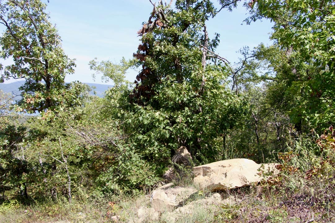 Lakeview Private Reserve Tract 13 photo 5