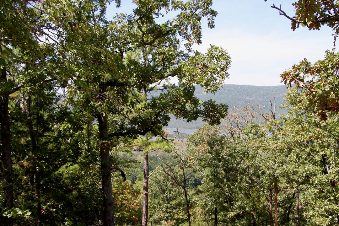 Lakeview Private Reserve Tract 13 photo 6