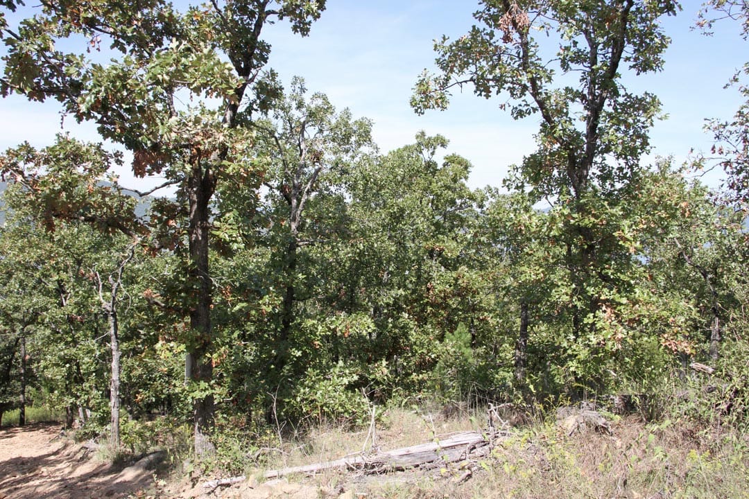 Lakeview Private Reserve Tract 13 photo 7
