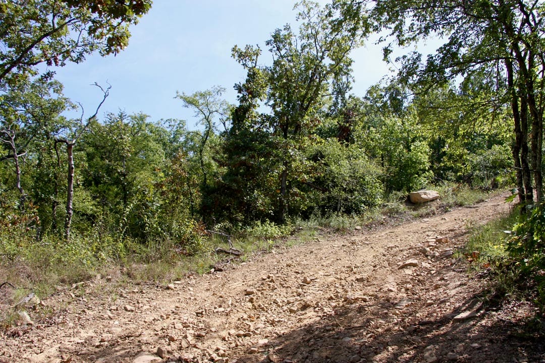 Lakeview Private Reserve Tract 13 photo 8