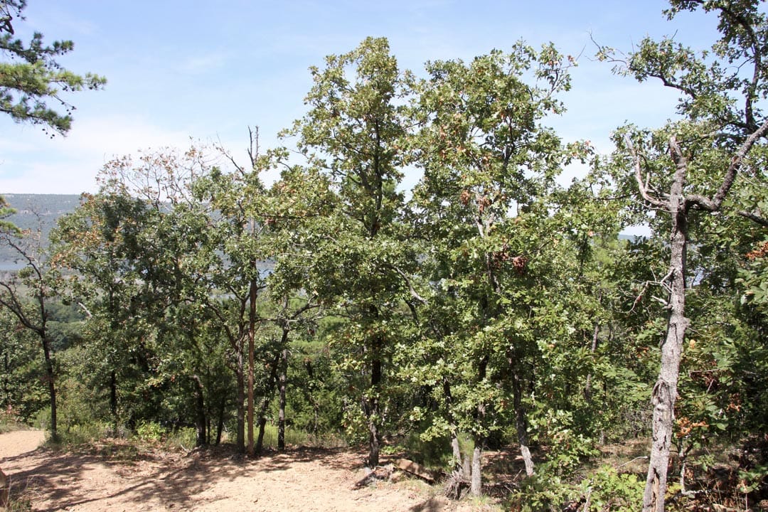 Lakeview Private Reserve Tract 13 photo 9