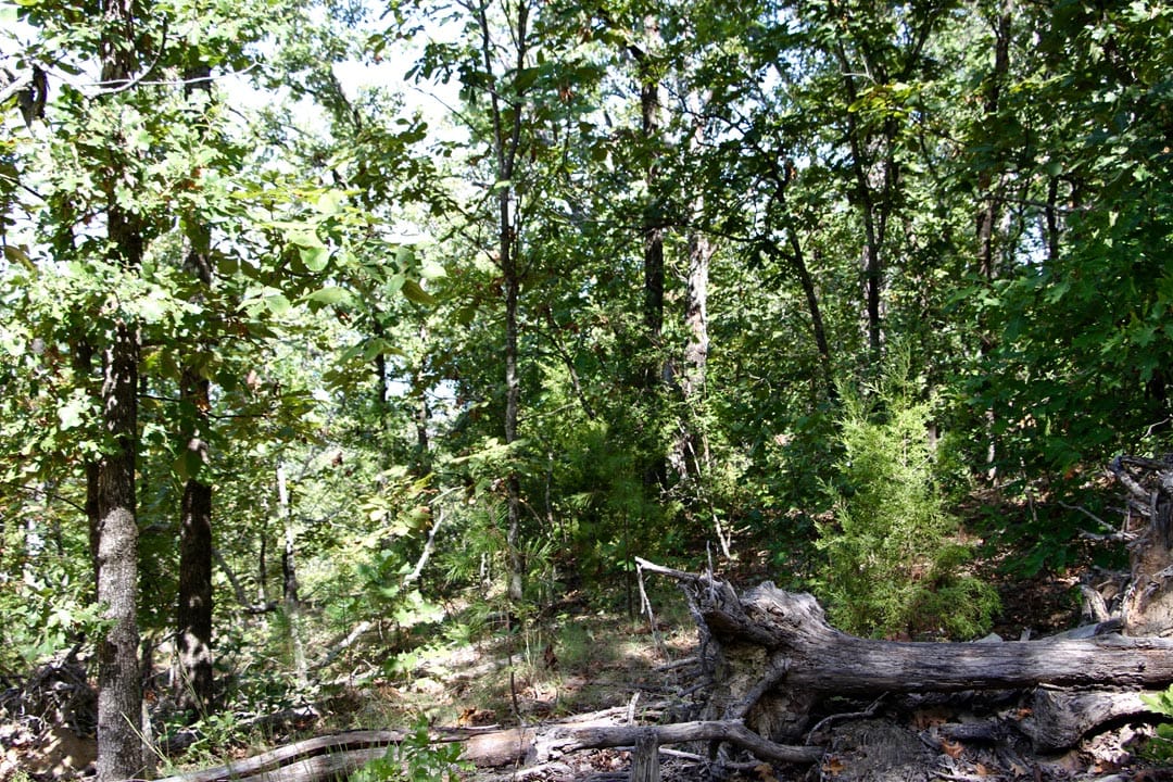 Lakeview Private Reserve Tract 13 photo 10