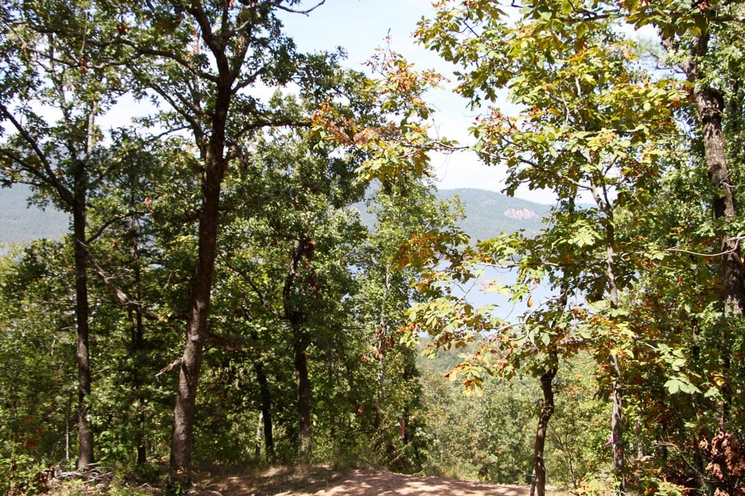 Lakeview Private Reserve Tract 13 photo 11