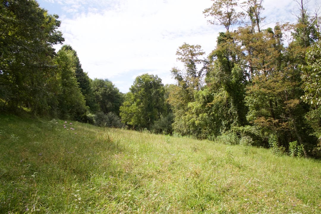 Heritage Hollow Tract 15 photo 2