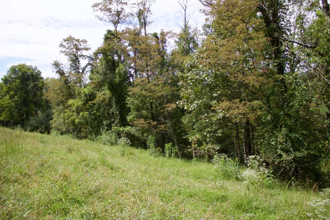 Heritage Hollow Tract 15 photo 3