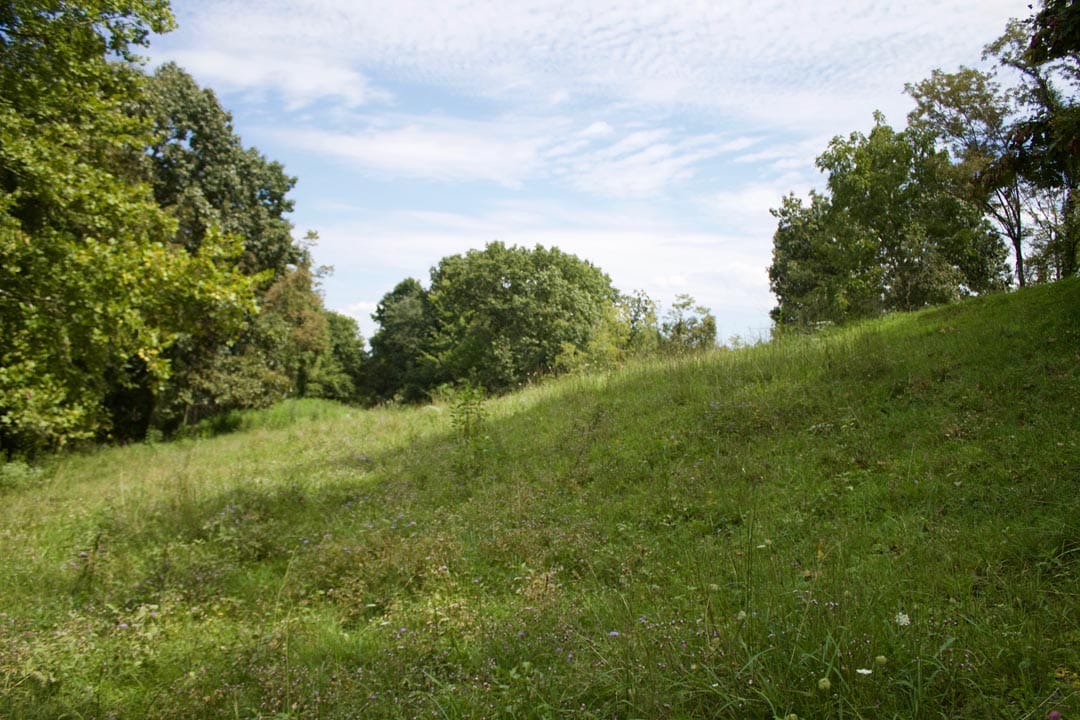 Heritage Hollow Tract 15 photo 4