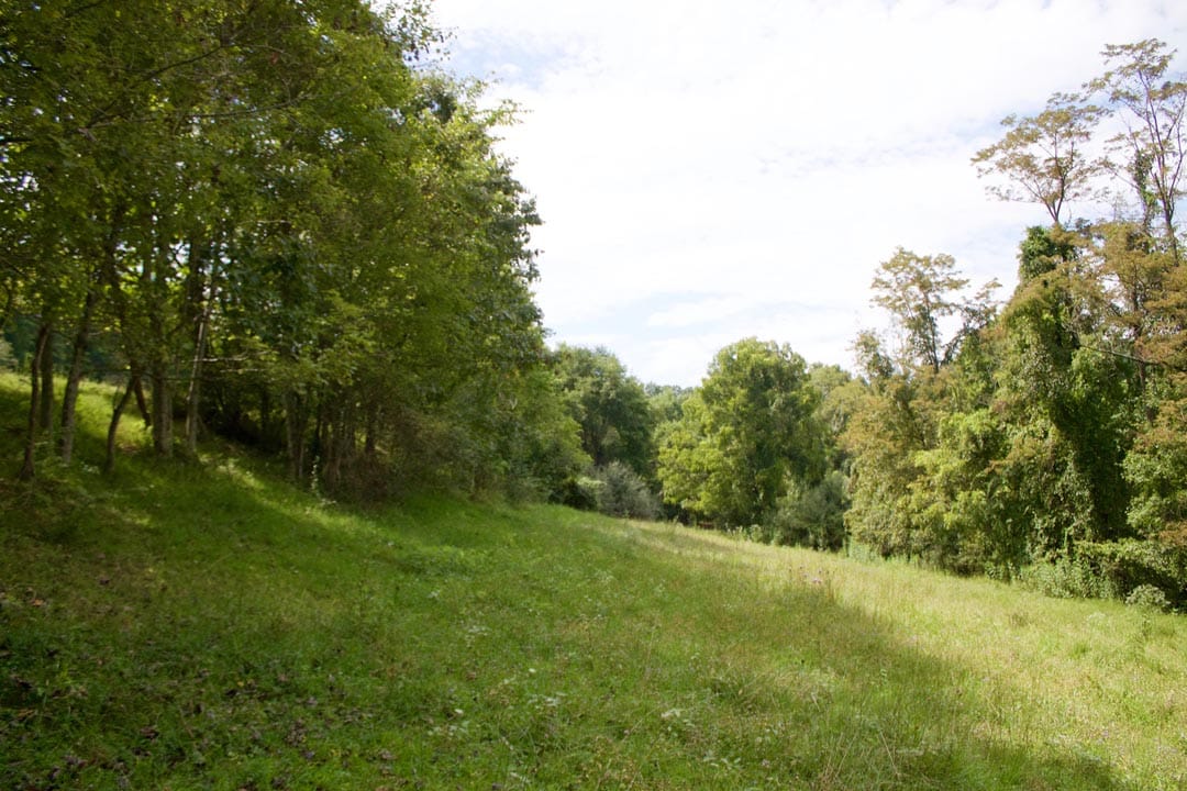 Heritage Hollow Tract 15 photo 5