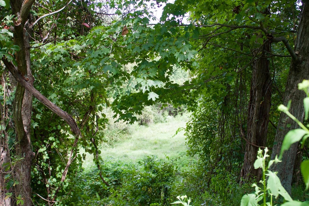 Heritage Hollow Tract 15 photo 8