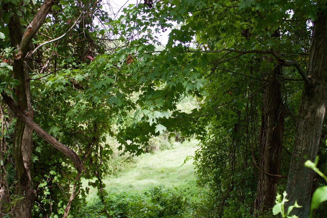 Heritage Hollow Tract 15 photo 9