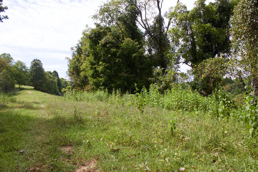 Heritage Hollow Tract 15 photo 10