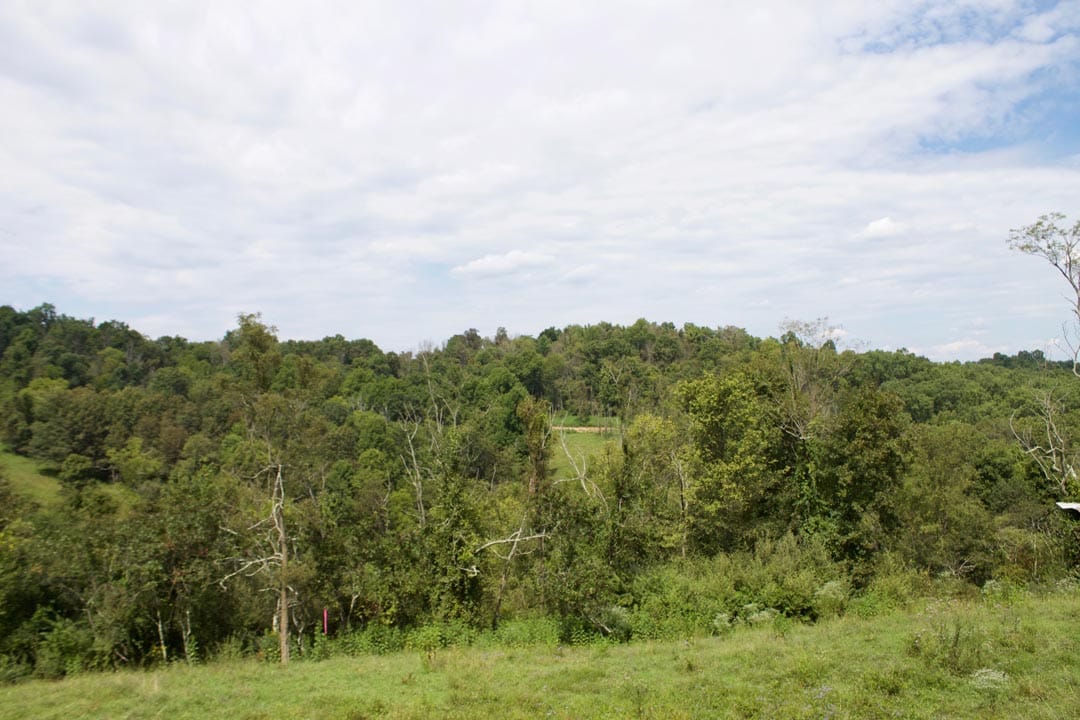 Heritage Hollow Tract 15 photo 11
