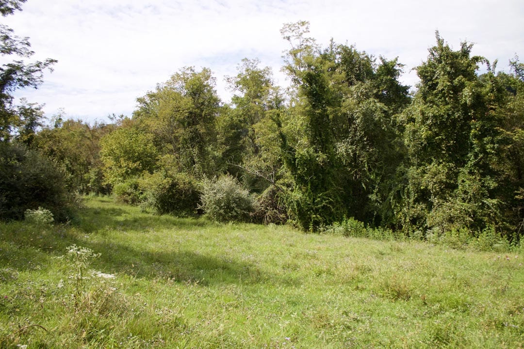 Heritage Hollow Tract 15 photo 13