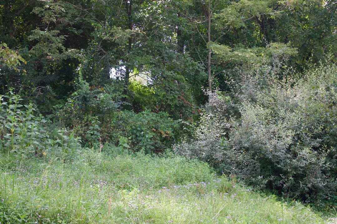 Heritage Hollow Tract 15 photo 15