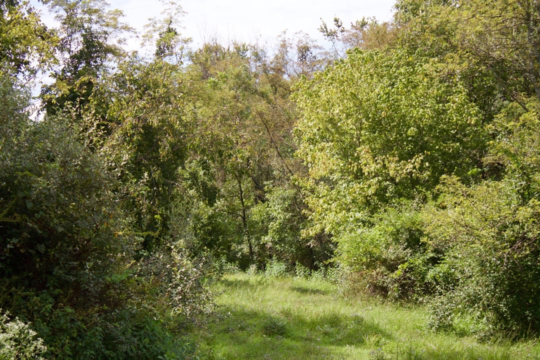 Heritage Hollow Tract 15 photo 16